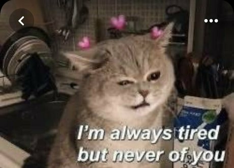 armee-onlyfans heiße sex foto