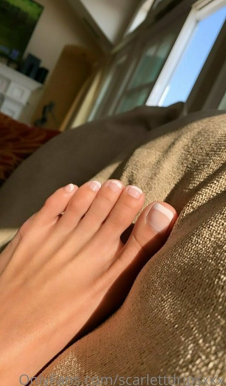 shakirabonita perfekte freie foto