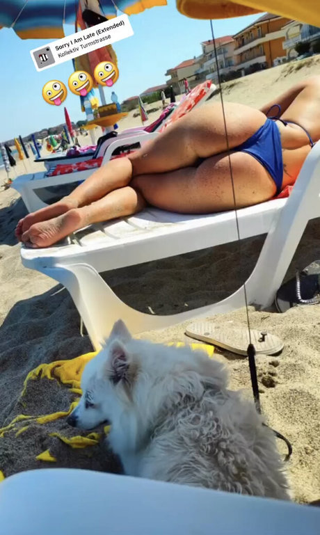 schwarze shemale-onlyfans xxx schöne bilder