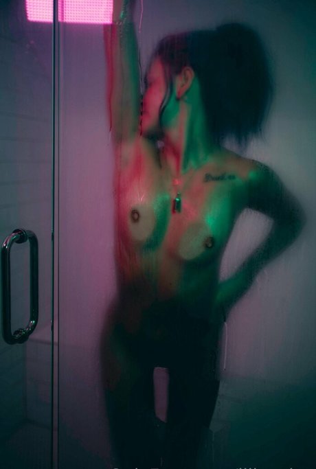 schwarzer hahnrei nur fans kostenlose perfekte foto