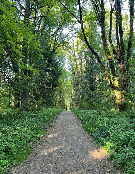 kleiner schwanz shemale onlyfans xxx nacktheit archiv