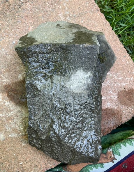 marstonhefner kunst schöne galerien