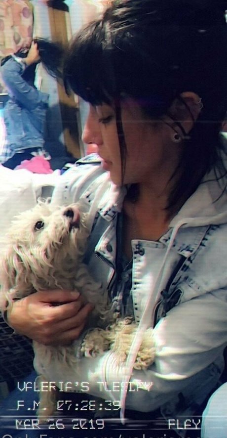 ebenholz-dildo onlyfans xxx sexy archiv