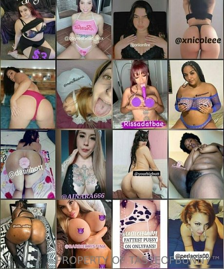 schwarze transe nur fans porno hübsche bild