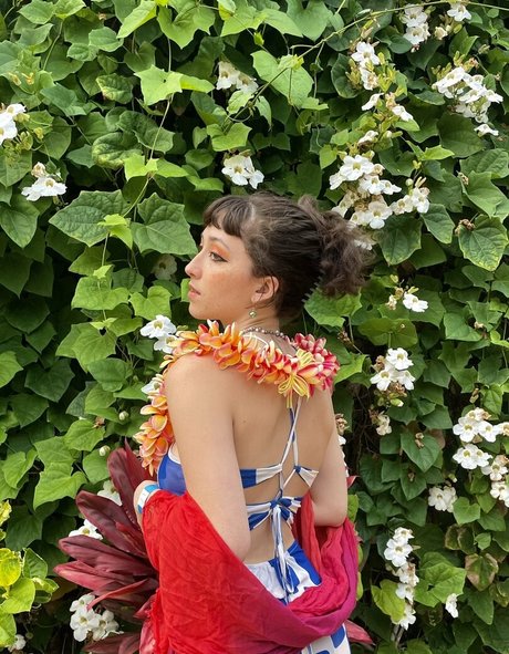 ebenholz raucht nur fans perfekte exklusive fotos