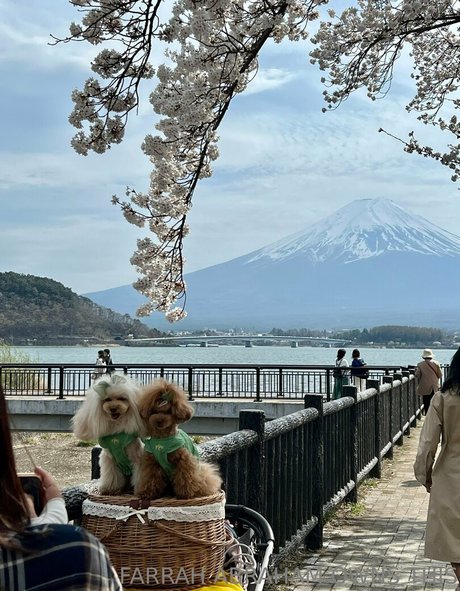 xxx onlyfans beste nette galerien