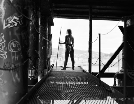 latina-milf-onlyfans erwachsene pornographische bild