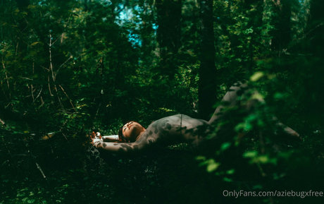 aziebugxfree nacktheit top bild