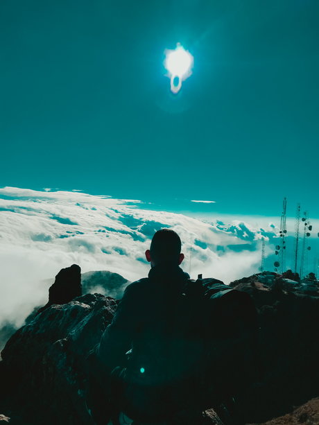 MrKing14 top freie bilder