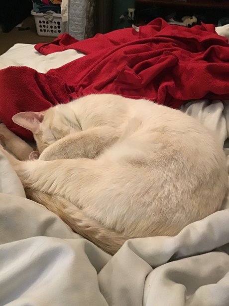 unterwasser-onlyfans hd erotische foto