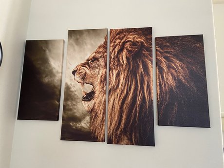 Skittles9993 hd freie bilder