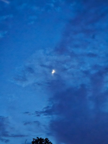 DarkPhoenixRises erotische porno foto