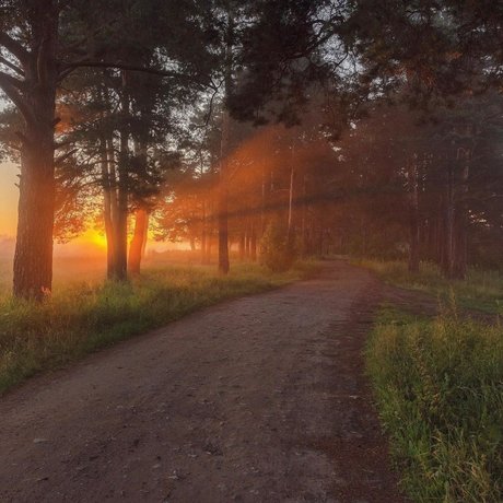 vollbusige rothaarige teen onlyfans perfekte pornographische galerie