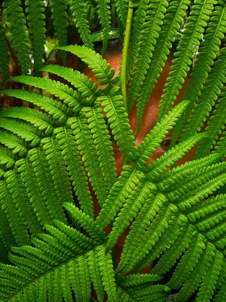 TToes nackt schöne bild