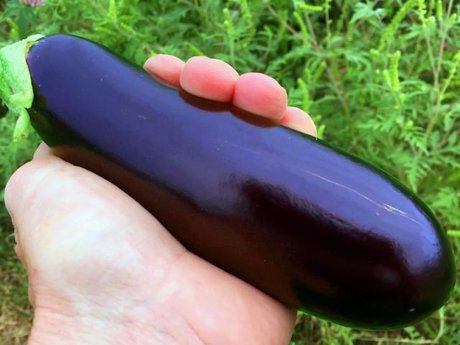 Nympho6ix xxx porno galerien