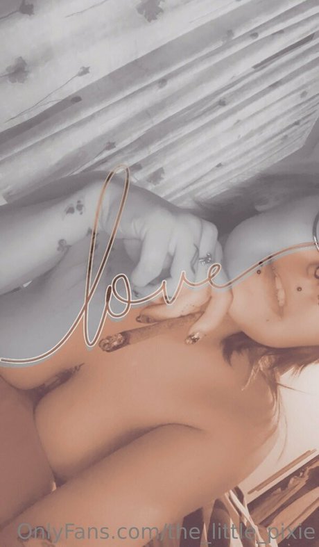 the little pixie sexy kunst galerie