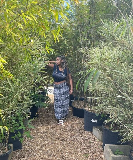 Plantbae erotische pornografische bild