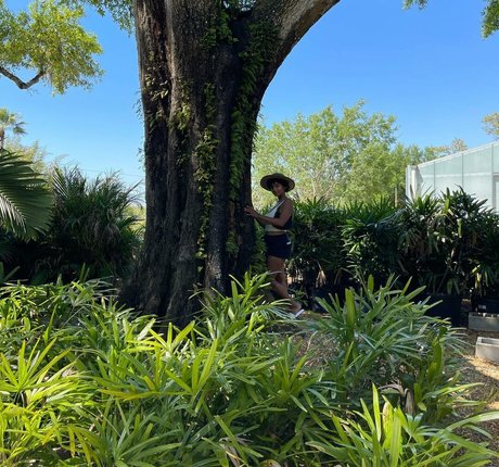 Plantbae nacktheit hübsche galerie