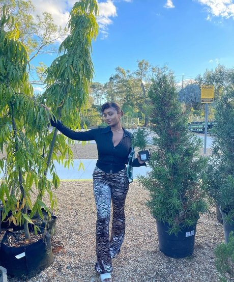 Plantbae beste pornografische bild