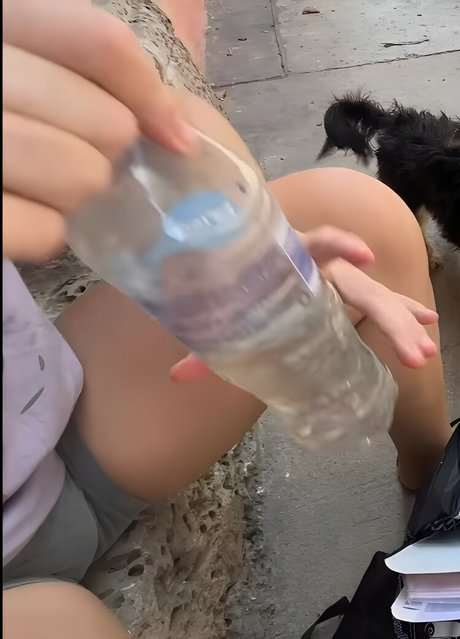 domina facesitting onlyfans kunst beste galerie