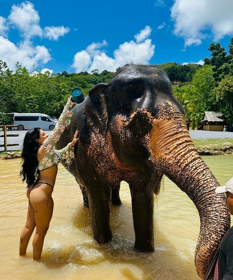 Cinthia Cruz top erwachsene archiv