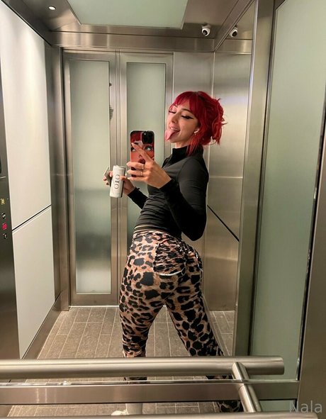 nalafitness top perfekte foto