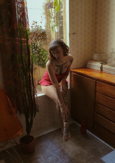 donalaura_ kostenlose porno bilder