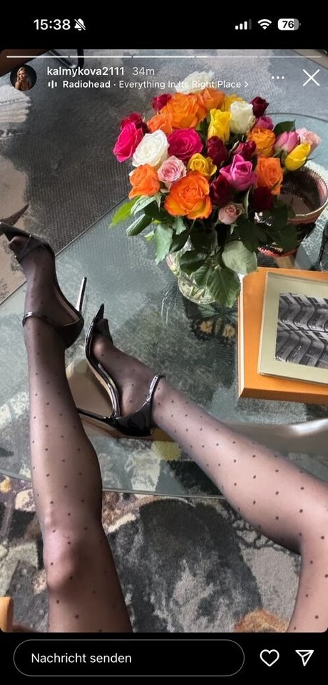 Kalmykova2111 nacktheit akt galerien