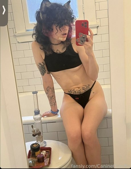 nacktstrip onlyfans freie porno archiv