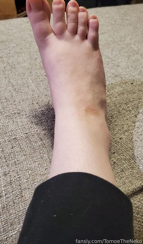 TomoeTheNeko nacktheit kunst galerie