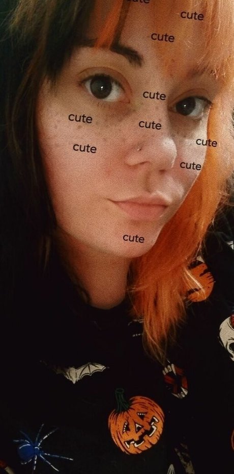 Milkybus schöne kostenlose bilder