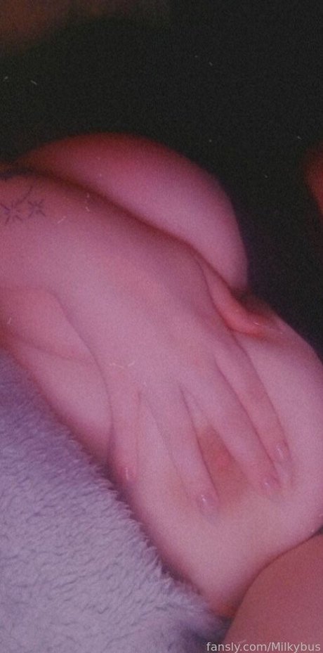 Milkybus model hd bild