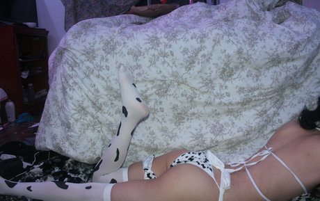 the sorrow dog nette pornostar foto