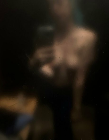 boobasaur schöne perfekte archiv