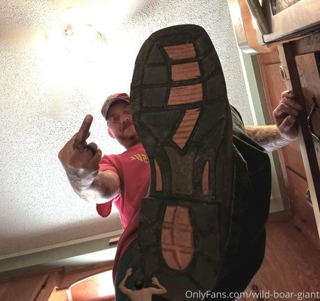 wild boar giant schöne xxx fotos