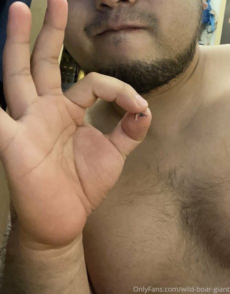 wild boar giant schöne erwachsene galerien