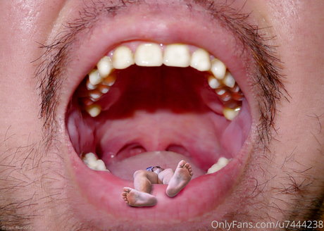 wild boar giant model top archiv