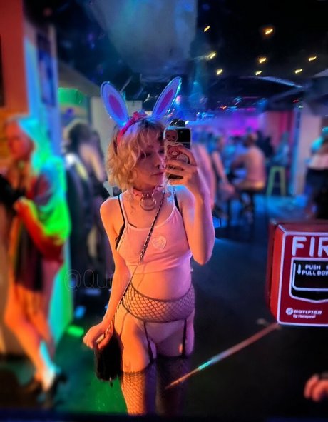 Quarlx exklusive hd galerie