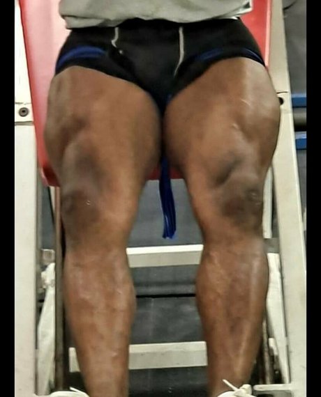 nahaufnahme muschi nur fans hd kunst archiv