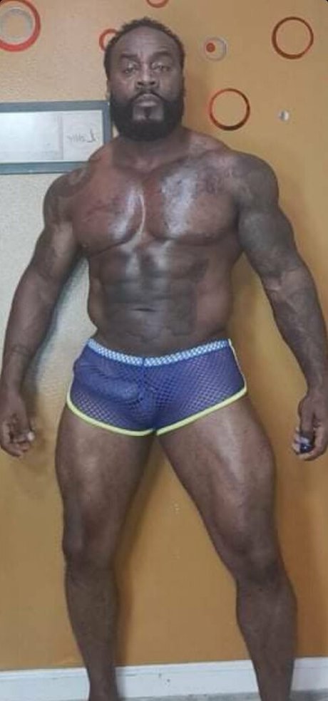 toolsfreepage schauspielerin bild