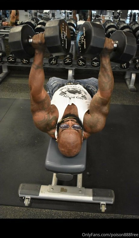 toolsfreepage heiße xxx foto