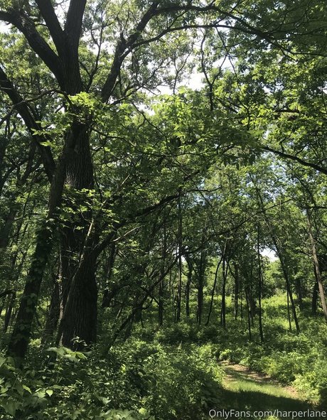 dreier asiatische onlyfans kunst erotische galerie