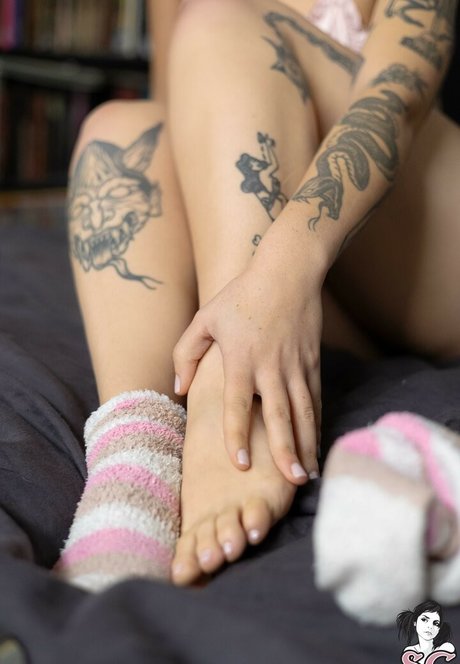 Gaja SG beste hd galerie