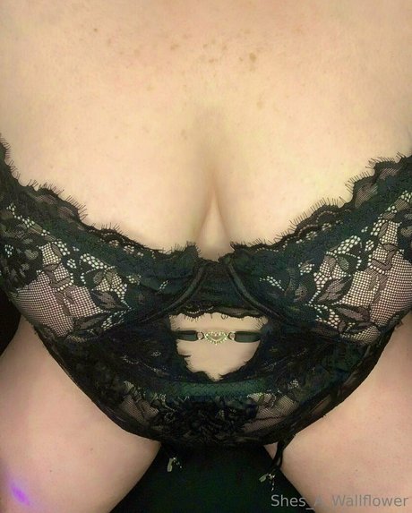 shes a wallflower beste porno archiv