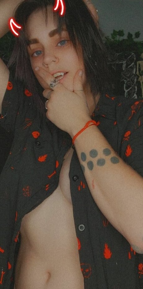 Coophound perfekte schöne bild