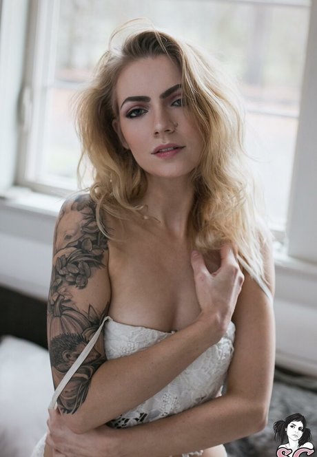 Teeth Sg Fotoaufnahmen