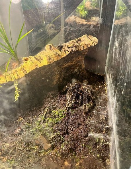 herrin onlyfans perfekte hd foto