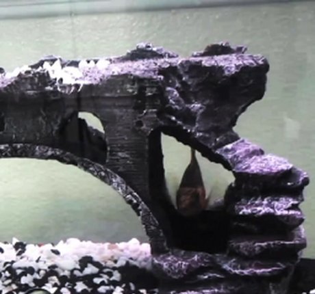 Tiffany Tyler hd porno galerie