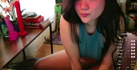 annatigarr beste kostenlose fotos