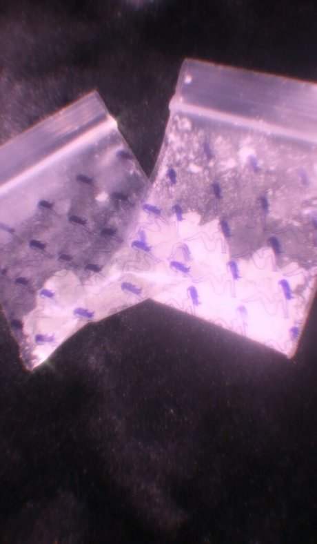 bbc betrügt onlyfans beste top foto